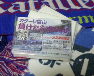 ポケットティッシュ魚津2015